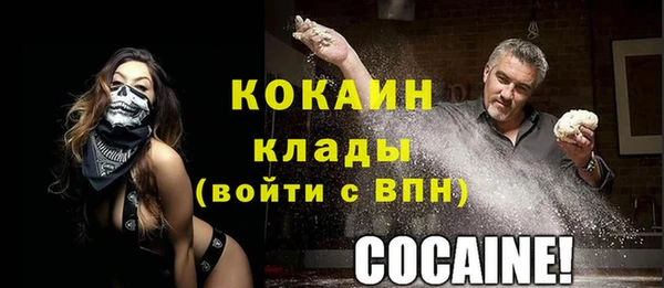 стафф Алексин