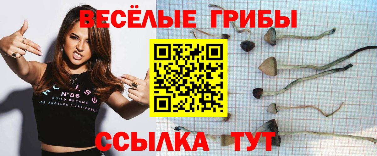Галлюциногенные грибы MAGIC MUSHROOMS Апшеронск