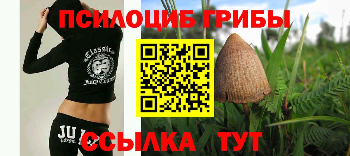 Галлюциногенные грибы мицелий  Галлюциногенные грибы мухоморы  Вход с VPN  Апшеронск 