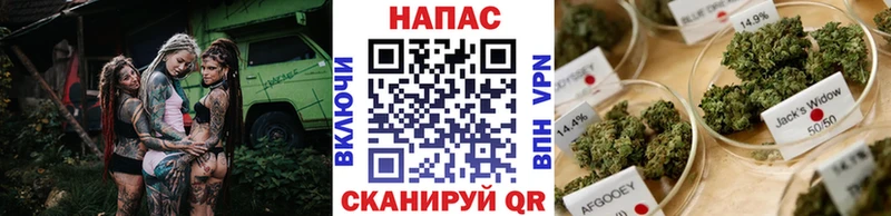 как найти закладки  Апшеронск  Бошки марихуана SATIVA & INDICA 